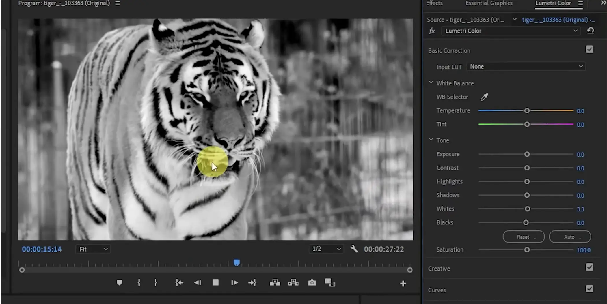 Дополнительная цветокоррекция Premiere Pro