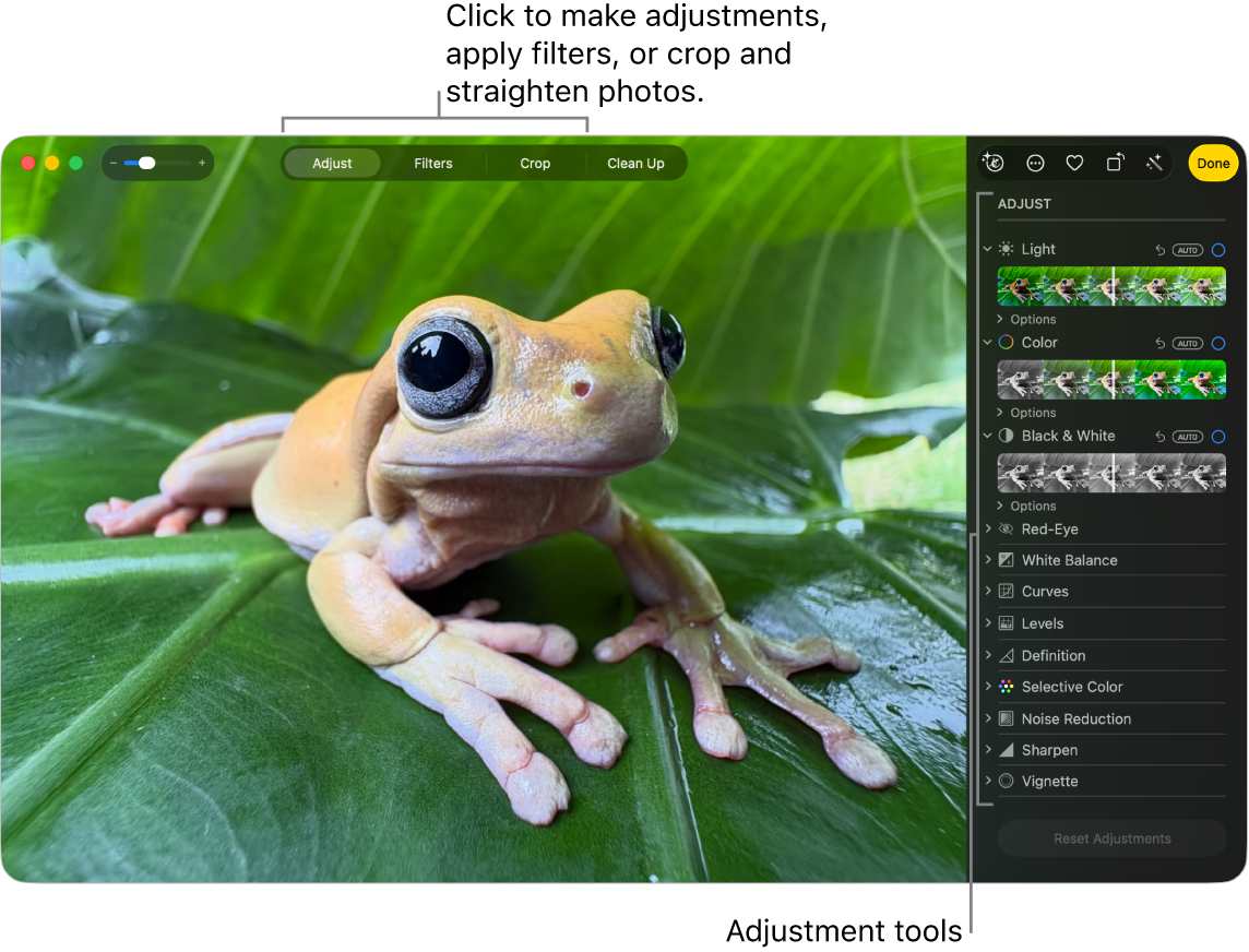 Окно редактирования Apple Photos с панелью Adjust