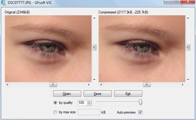 VJC с крупным фрагментом фотографии и включённым Auto-preview