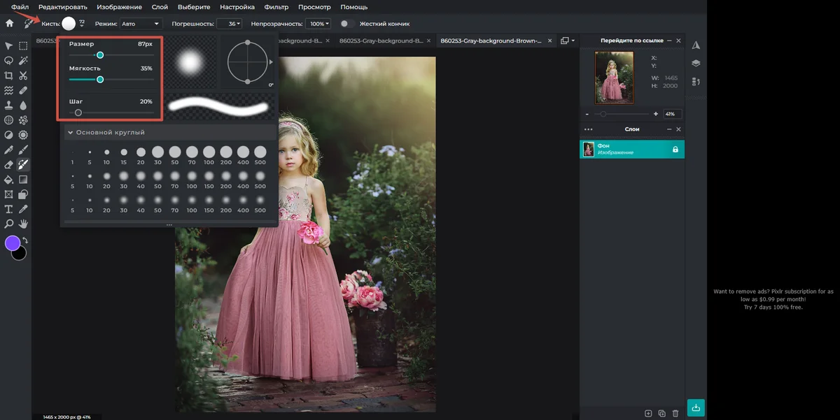 Параметры кисти Color Replace в Pixlr E