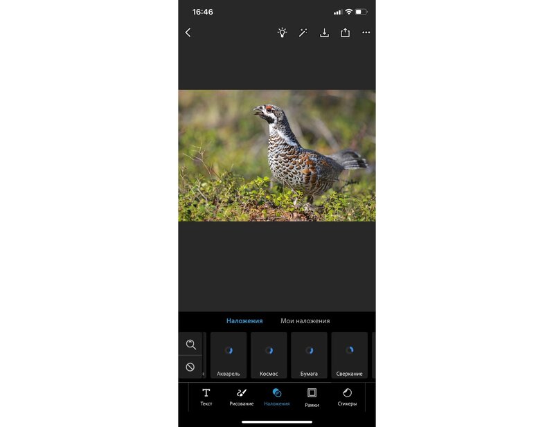 Выбор нового фона в Adobe Photoshop Express