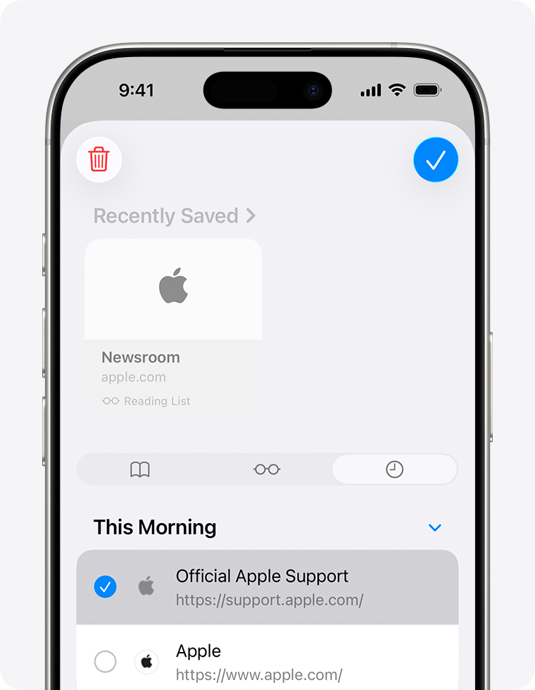 Выбор записей и кнопка корзины в истории Safari на iPhone