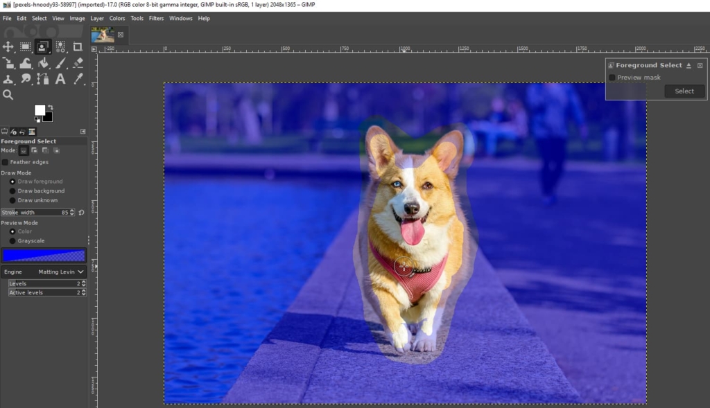 Инструмент Foreground Select в GIMP для отделения объекта от фона