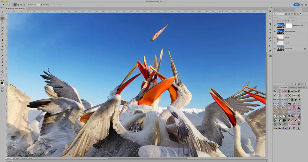 Рабочий документ Photoshop со слоями и панелями