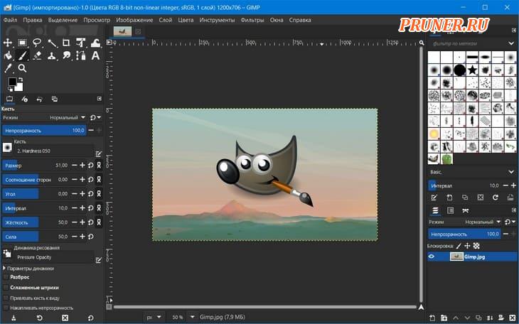 Интерфейс GIMP при подготовке пакетной обработки