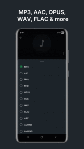 Audio Converter для Android: список аудиоформатов, включая MP3 и WAV