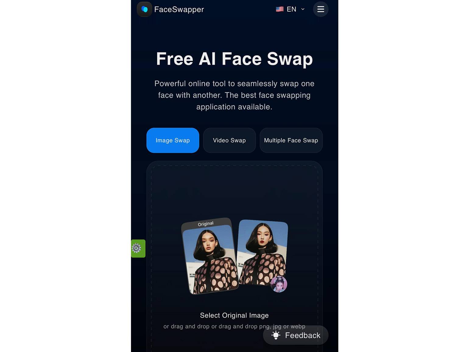 Форма FaceSwapper для загрузки материала и запуска обработки