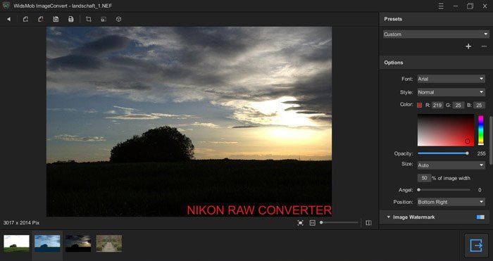 Панель Resize в WidsMob ImageConvert с пакетной обработкой фотографий