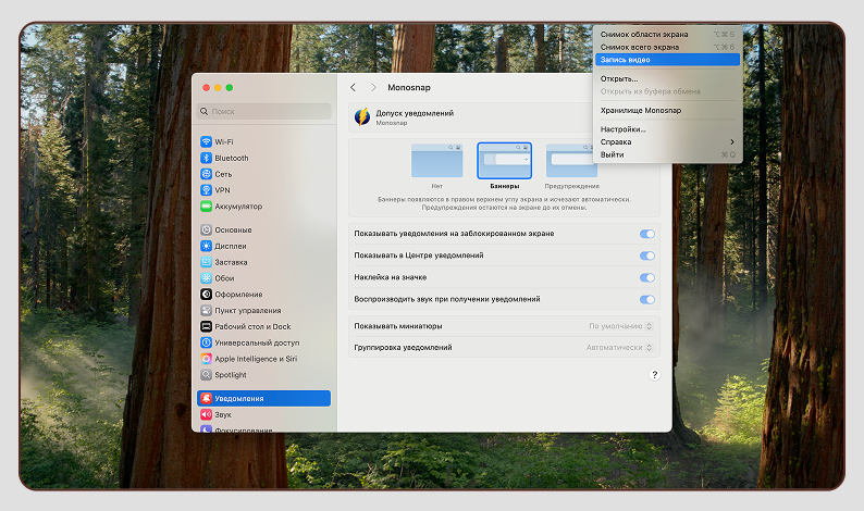 Monosnap: панель захвата и аннотаций на macOS