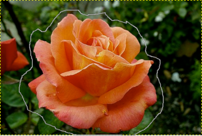 Грубое выделение объекта Foreground Select в GIMP