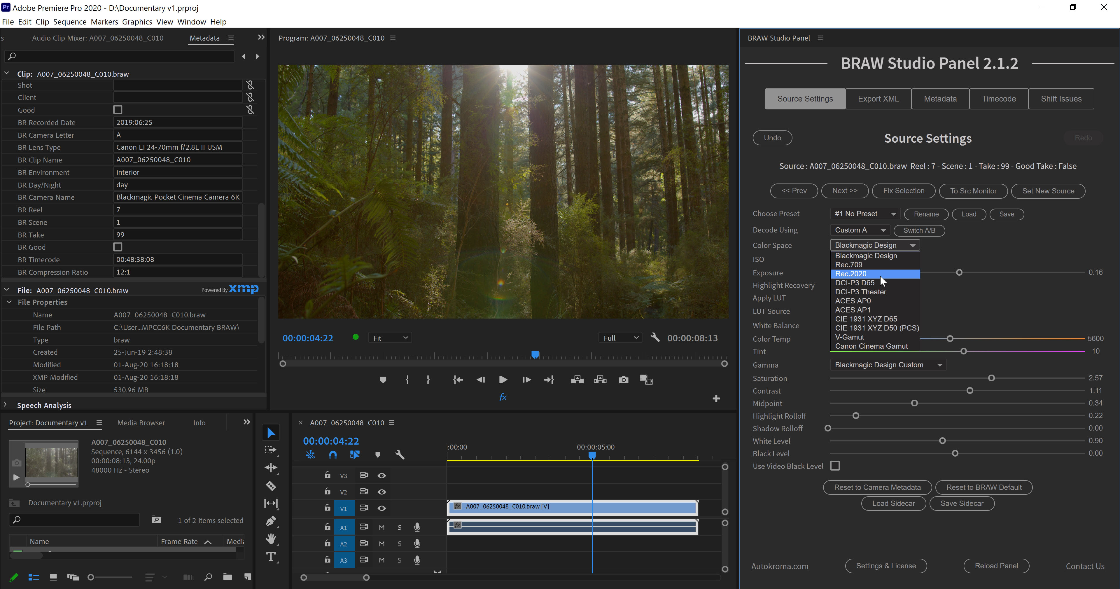 BRAW Studio Source Settings Panel в Adobe Premiere Pro