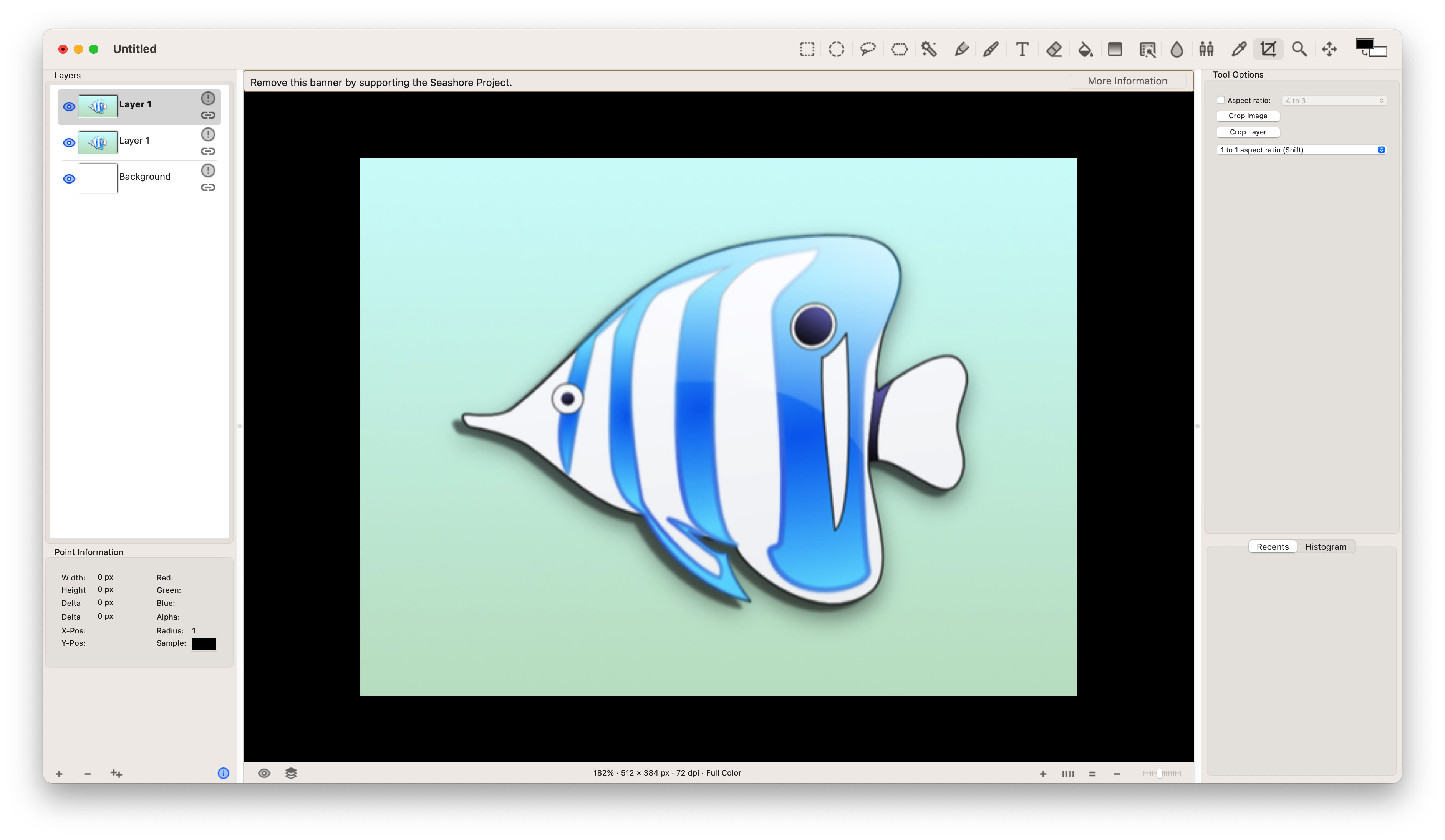 Интерфейс Seashore на macOS с холстом и параметрами инструментов