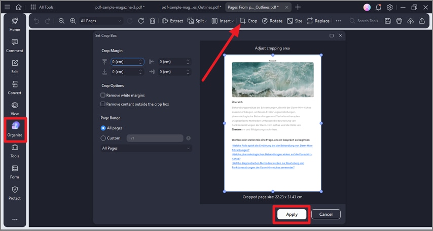 Параметры Crop Margins и Page Range в PDFelement