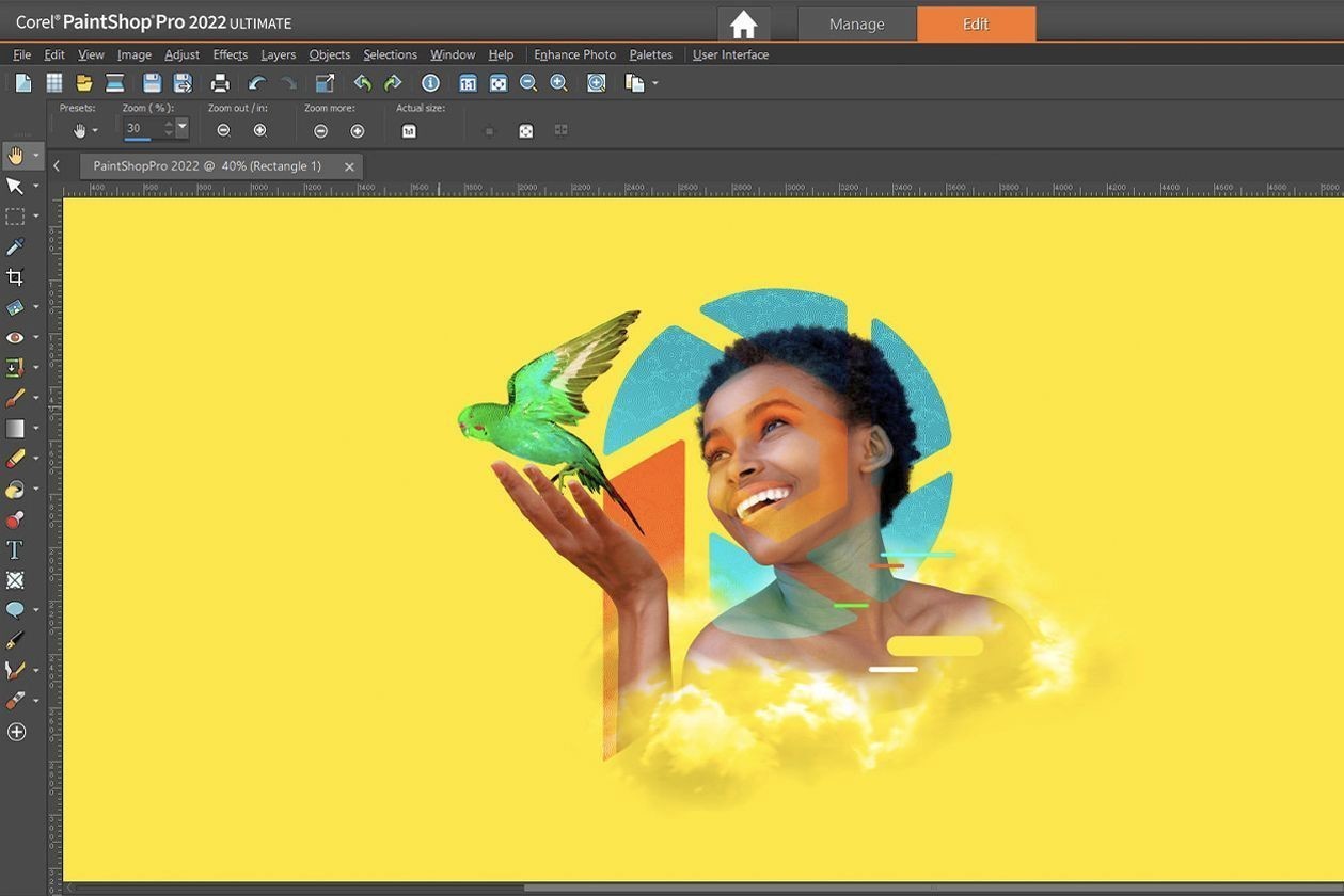 Интерфейс PaintShop Pro при работе с изображением