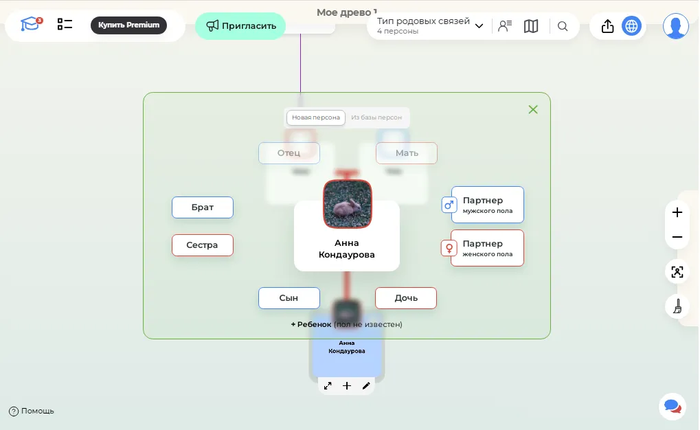 Интерфейс Famiry