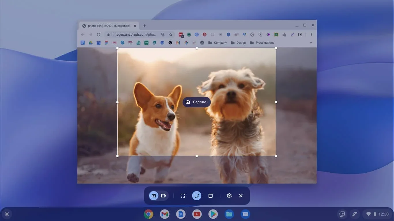 Выбор области системной записи на Chromebook