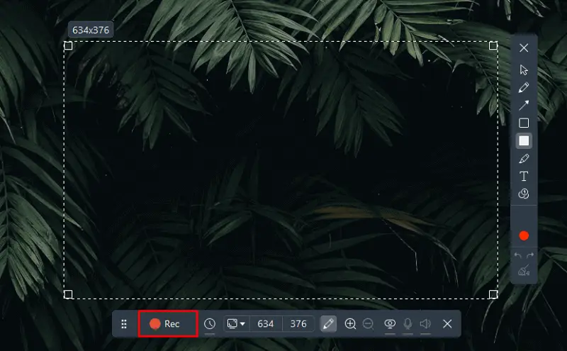 Аннотации во время записи в Icecream Screen Recorder