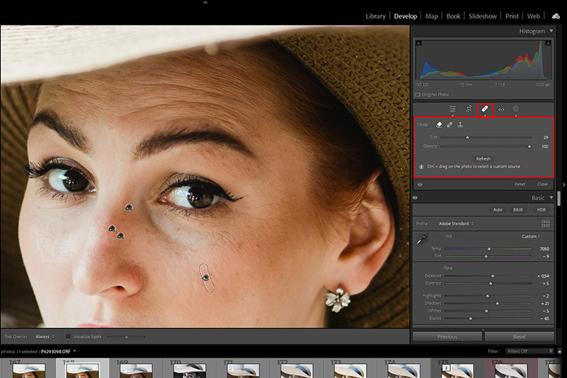 Интерфейс Adobe Lightroom с инструментом локального удаления дефектов