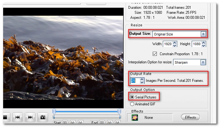 Параметры последовательности изображений в WonderFox Video to Picture Converter