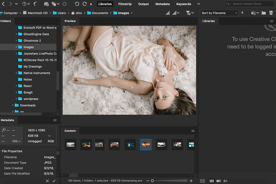 Интерфейс Adobe Bridge с папками, миниатюрами и предпросмотром фотографии