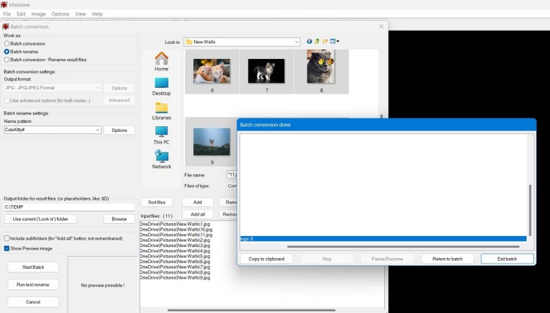 Окно Batch Conversion в IrfanView