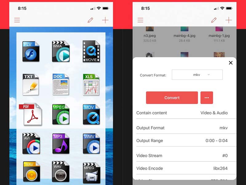 Интерфейс iConv на iPhone с выбором формата конвертации