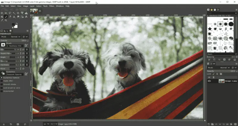 Интерфейс GIMP с фотографией и панелями инструментов