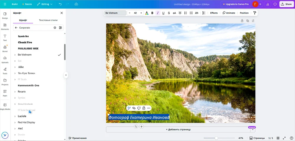 Редактор Canva с изображением и графическими элементами