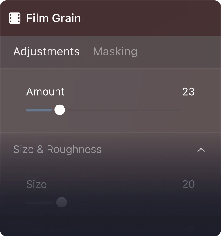 Панель Film Grain в Luminar Neo с Amount, Size и Roughness