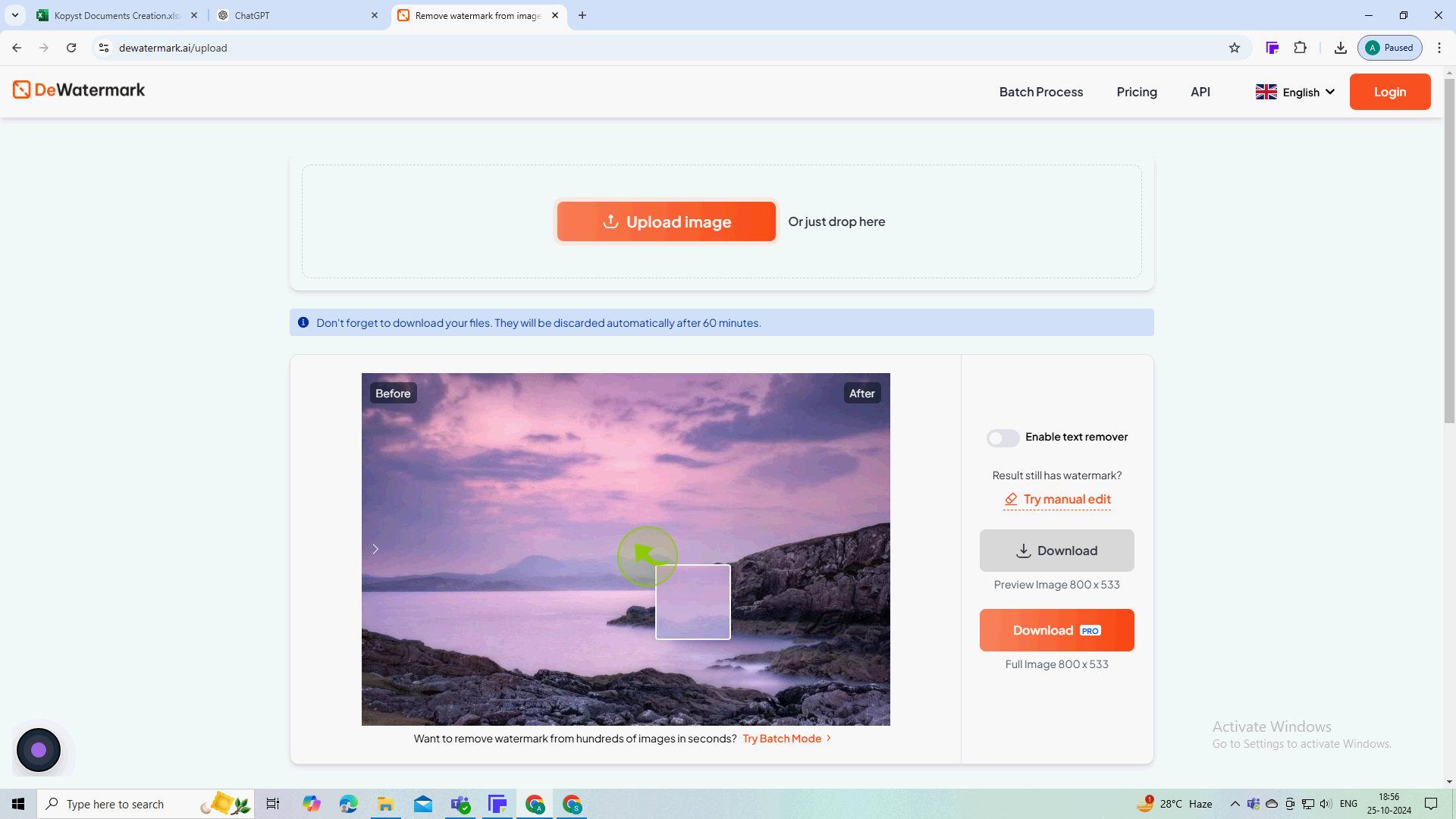 Интерфейс DeWatermark при удалении нежелательной области