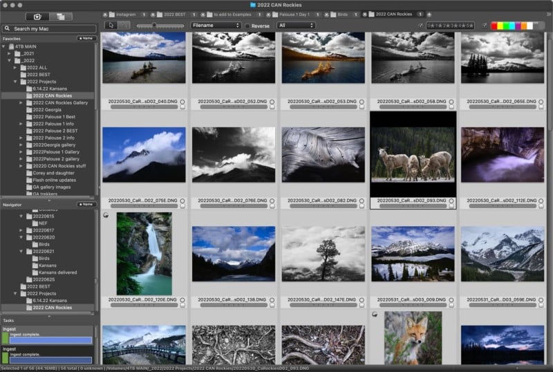 Контактный лист Photo Mechanic с миниатюрами фотографий