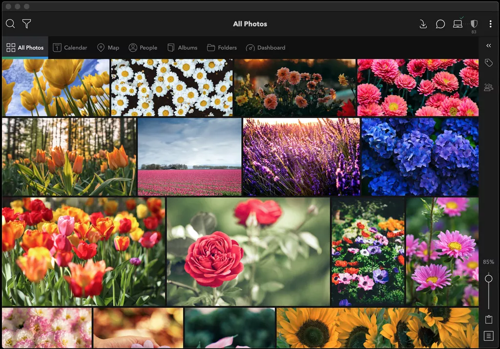 Раздел All Photos в Mylio Photos