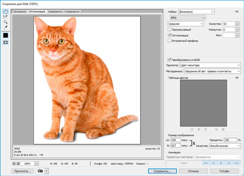 Настройки PNG в окне Save for Web