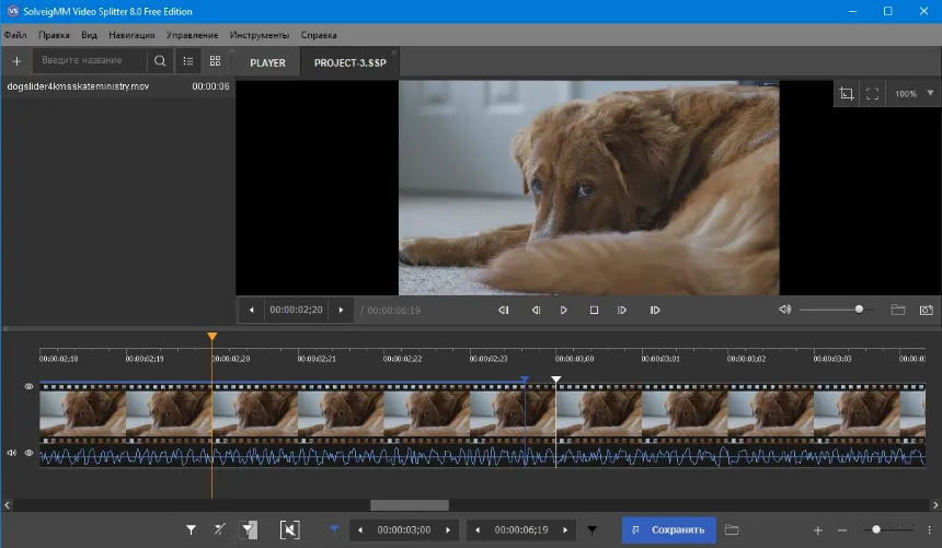 Интерфейс SolveigMM Video Splitter