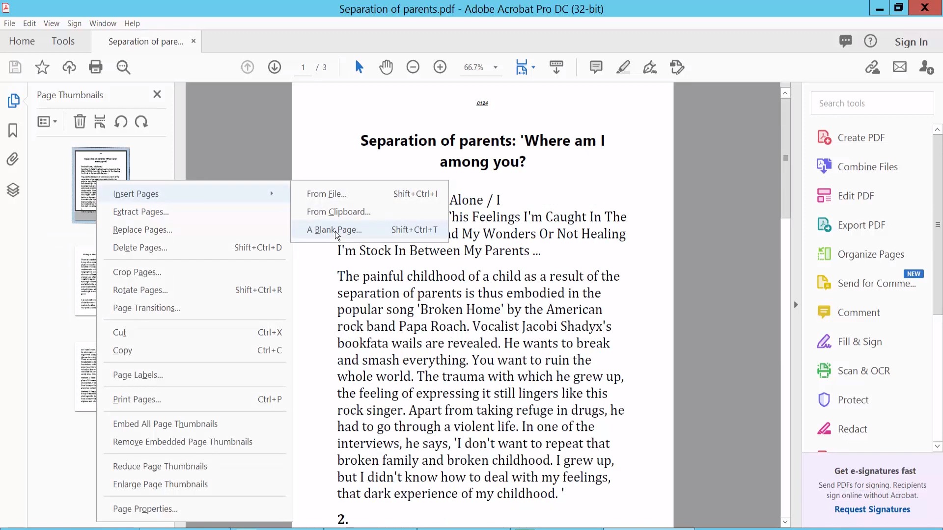 Меню вставки пустой страницы в Adobe Acrobat
