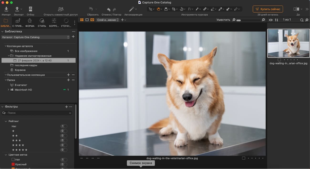 Интерфейс Capture One: рабочее окно и инструменты обработки, изображение 1