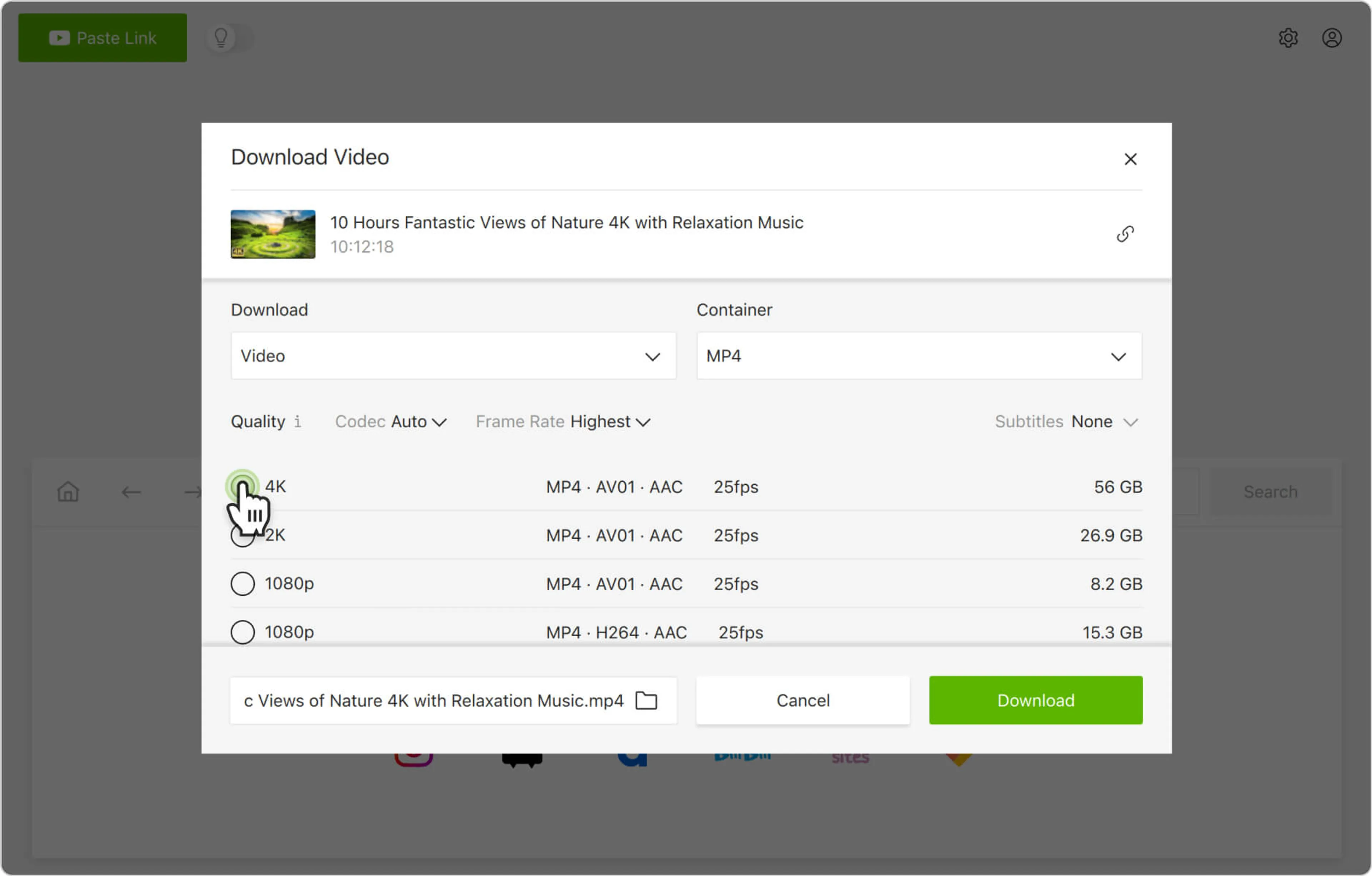 Выбор контейнера и качества в 4K Video Downloader Plus