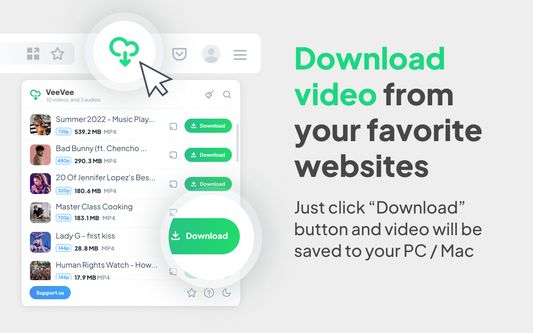 Список обнаруженных роликов в Video Downloader VeeVee