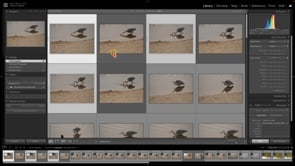 Использование ON1 NoNoise AI вместе с Lightroom
