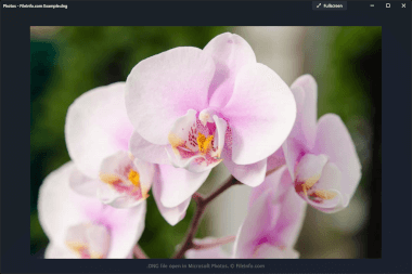 DNG-фотография, открытая в приложении Microsoft Photos