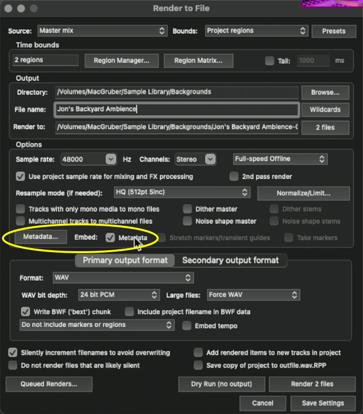 Окно Render to File в REAPER с Write BWF bext chunk и Metadata