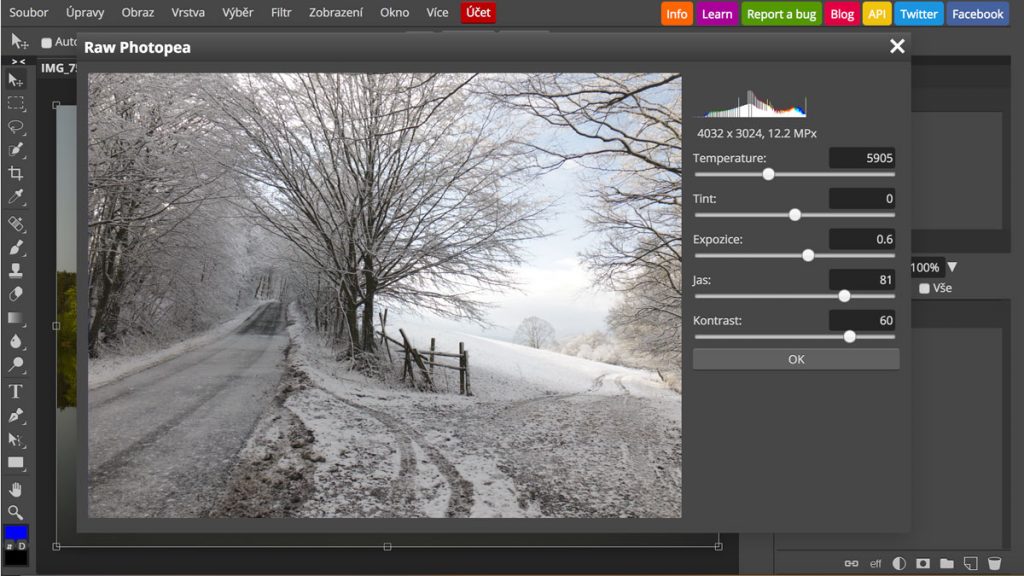 RAW-диалог Photopea с гистограммой и настройками Temperature, Tint, Exposure и Contrast