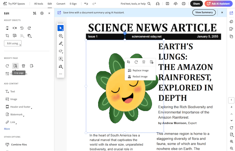 Размещённое изображение в PDF в Adobe Acrobat