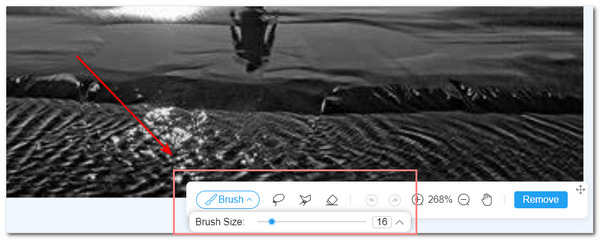 Инструменты выделения Brush, Lasso и Polygonal в AnyMP4 Watermark Remover