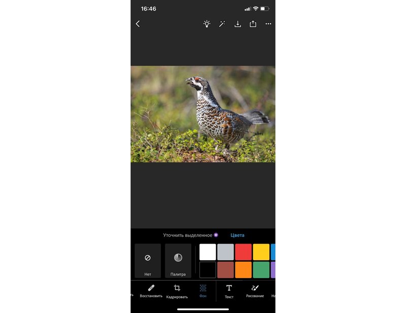 Автоматическое выделение в Photoshop Express