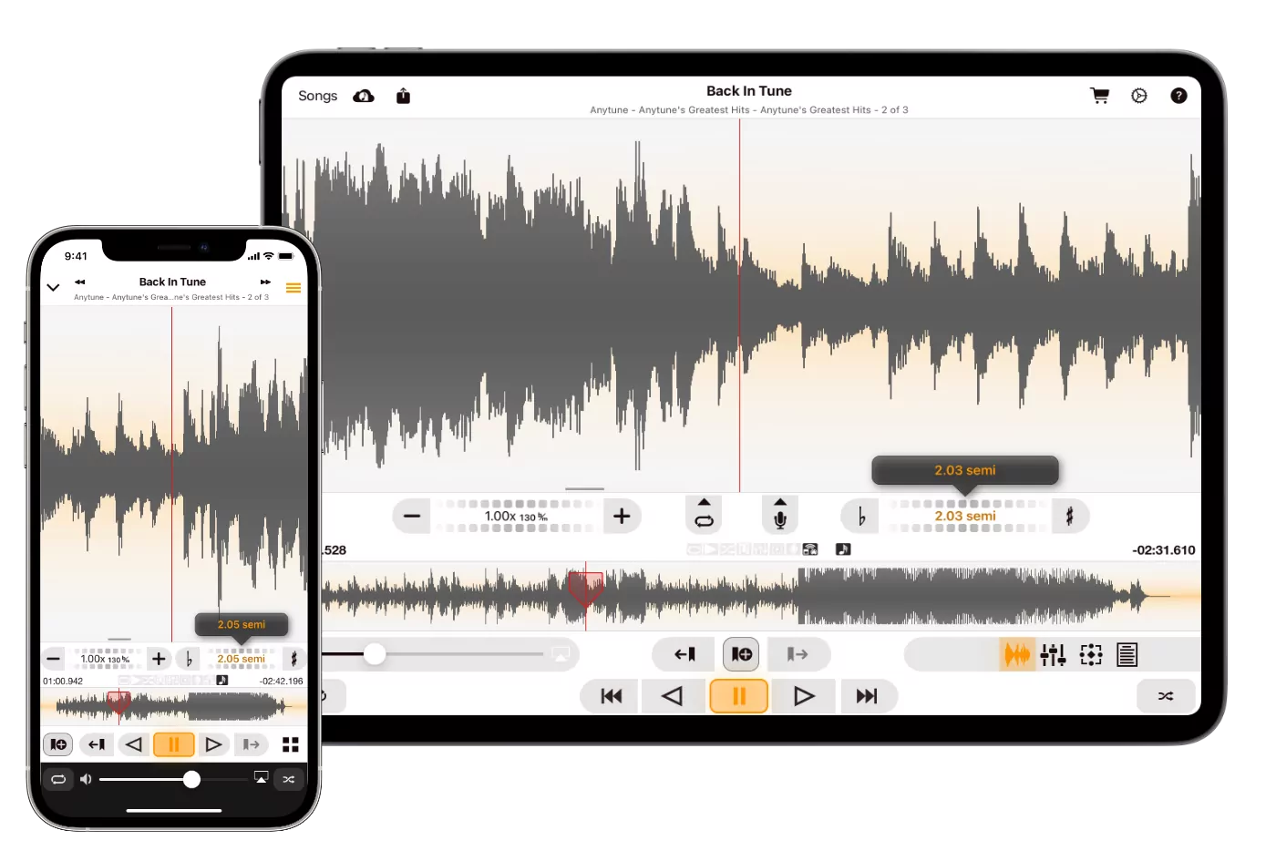 Anytune — регулировка pitch в полутонах на iPhone и iPad
