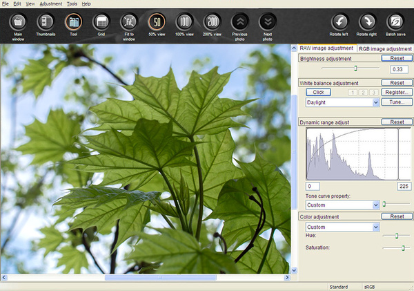 Фирменный RAW-конвертер Canon Digital Photo Professional