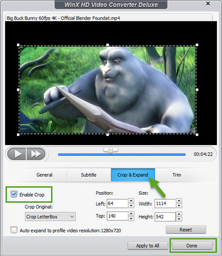 Окно Crop & Expand в WinX HD Video Converter Deluxe