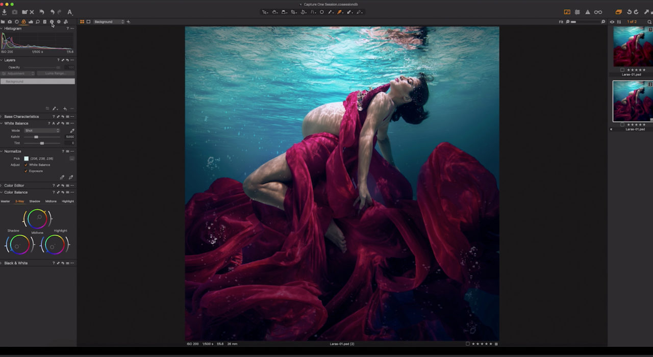 Интерфейс Capture One Pro при RAW-обработке и коррекции баланса белого