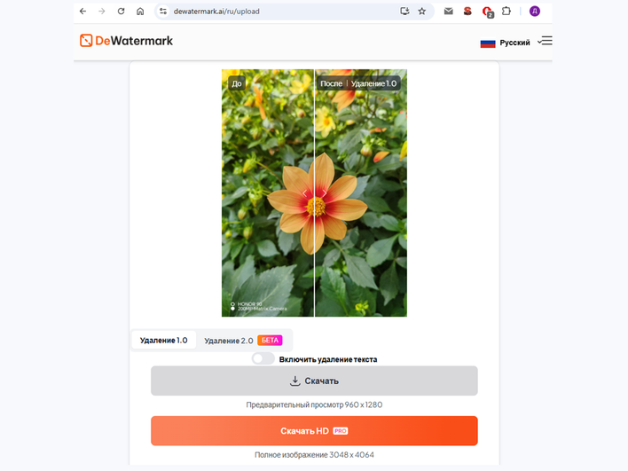 Интерфейс DeWatermark при удалении нежелательной области